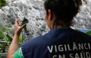 Leia mais sobre o artigo Dengue: Dia D de mobilização neste sábado (14)