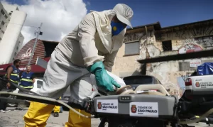 Leia mais sobre o artigo SÃO PAULO (SP): município registra quase 49,9 mil casos e 10 mortes por dengue em 2025