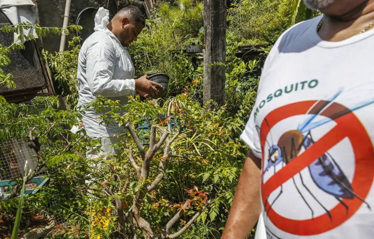 Leia mais sobre o artigo SÃO PAULO: estado registra 721 mil casos e mais de 600 óbitos por dengue em 2025