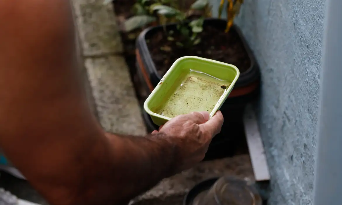 Você está visualizando atualmente Dengue: saiba os cuidados para evitar focos do mosquito transmissor