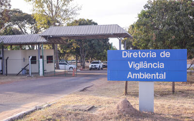 Você está visualizando atualmente Casos de raiva em morcegos no DF são confirmados e esclarecidos por bióloga