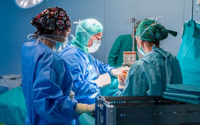 Você está visualizando atualmente Brasil alcança marca histórica com mais de 30 mil transplantes no SUS em 2024