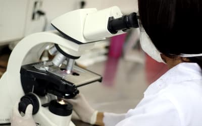 Leia mais sobre o artigo Doação de Órgãos: Prova Cruzada Virtual agiliza transplantes e reduz risco de rejeição