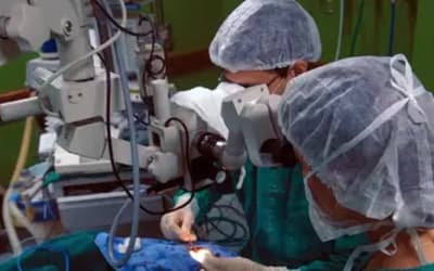 Você está visualizando atualmente Doação de órgãos: como funciona o processo de transplante e a lista de espera no Brasil